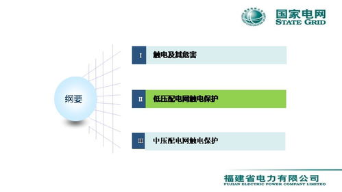配電網(wǎng)觸電保護技術與服務——會議報告