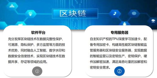 中央一號文件 科技賦能農業，第五代網絡技術與人工智能物聯網引領新時代農業網站建設