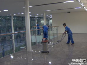 長沙保潔公司中泰家政 15年行業(yè)經(jīng)驗(yàn)，專業(yè)除四害服務(wù)